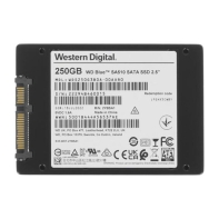 купить Твердотельный накопитель  250GB SSD WD BLUE SA510 2.5” SATA3 R555Mb/s, W440MB/s WDS250G3B0A в Алматы фото 2