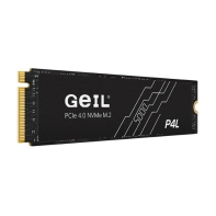 купить SSD GEIL 512GB P4L M.2 2280 PCIe4.0 NVMe P4LFD23C512D в Алматы фото 2