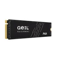 купить SSD GEIL 2000GB P4A M.2 2280 PCIe4.0 NVMe P4AAC23C2TBA в Алматы фото 1