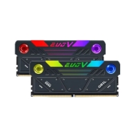 Купить Оперативная память 32 GB Kit (2x16 GB) GEIL EVO V RGB 8000 Mhz DDR5 PC5-64000 GESG532GB8000C38ADC Black Алматы