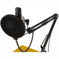 купить Микрофон Ritmix RDM-169 черный в Алматы фото 2