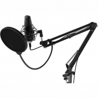 купить Микрофон Ritmix RDM-169 черный в Алматы фото 4