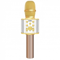купить SVEN MK-950, белый-золотой, микрофон для караоке, мощность 6Вт (RMS), Bluetooth, microSD, встроенный в Алматы фото 1